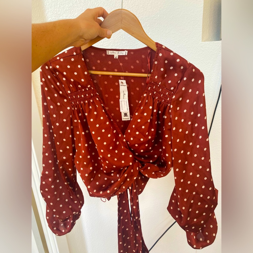 Silky Willow & Clay Top